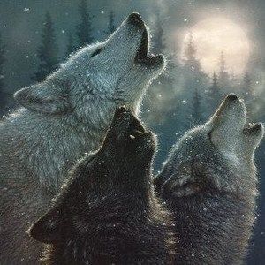 Meet your Posher, Phil